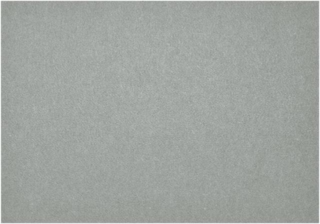 Daff Fiberixx Placemat rechthoekig - 310x420mm - Light Grey