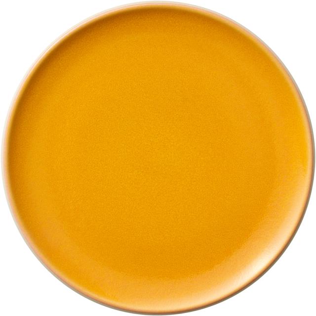 Fortessa Nivo Apero Bord plat coupe - Ø170mm - Oranje