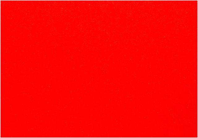 Daff Fiberixx Placemat rechthoekig - 310x420mm - Orange