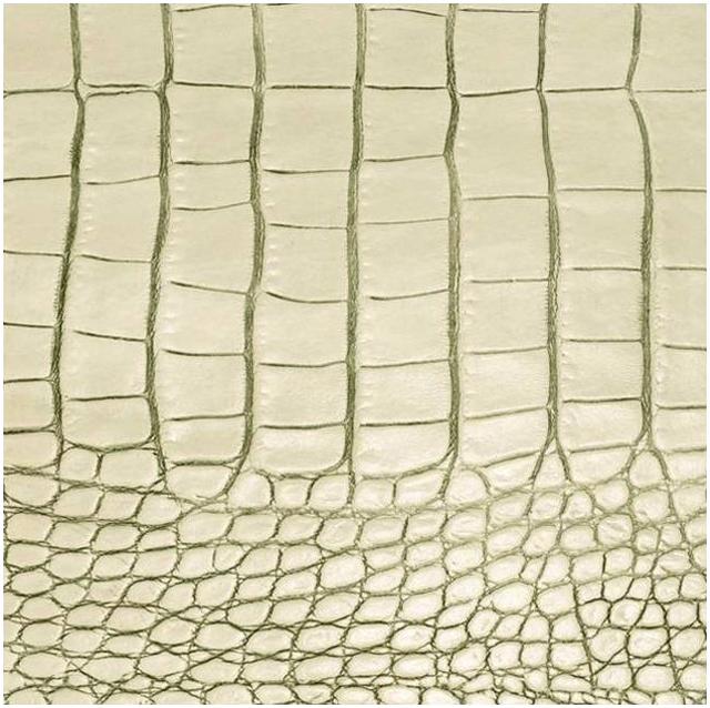 Daff Gator Onderzetter vierkant - 100x100mm - Ivory